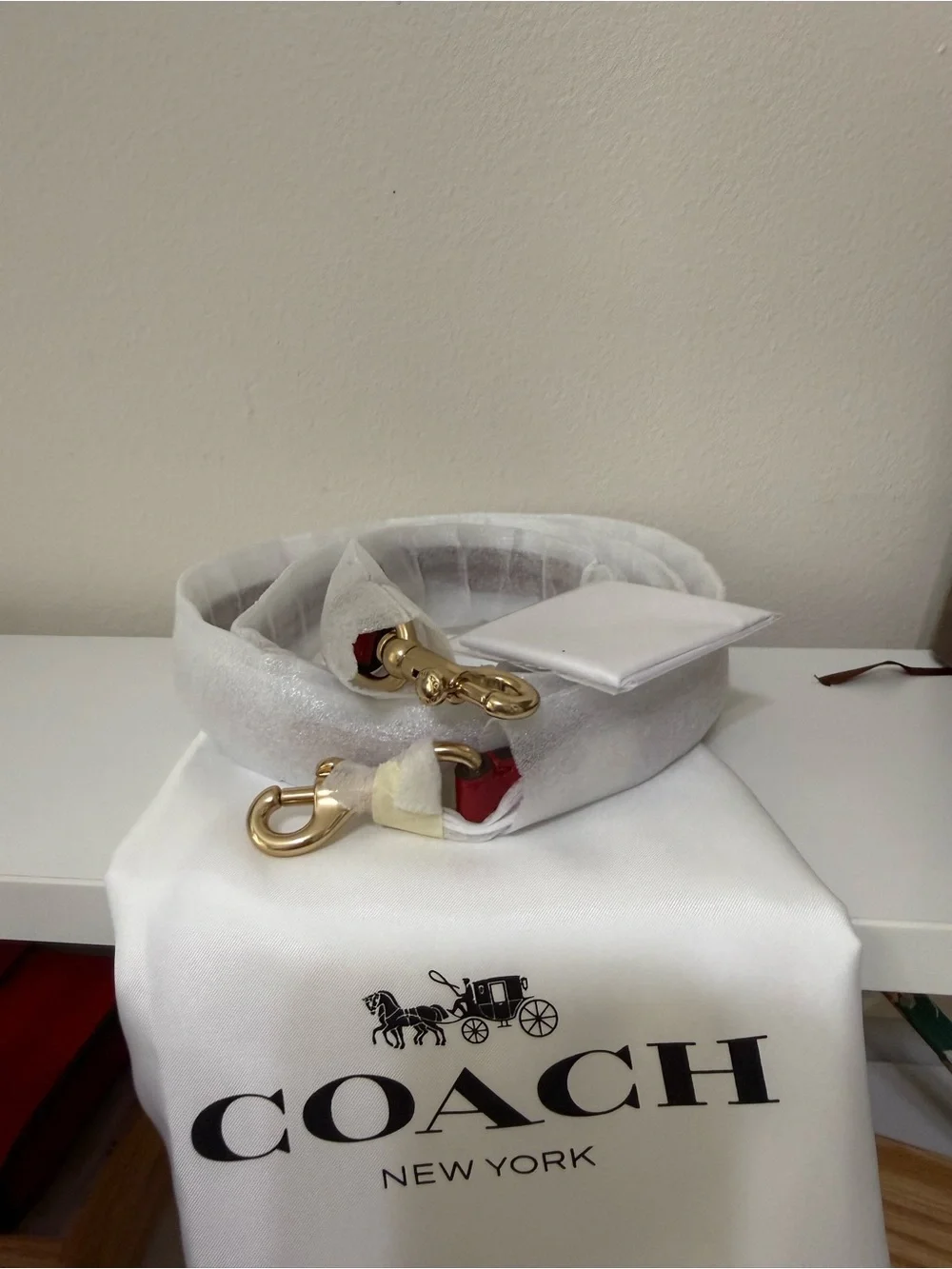 Coach beautiful glossy